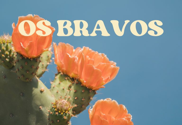 Os Bravos – New single by Tsunamiz